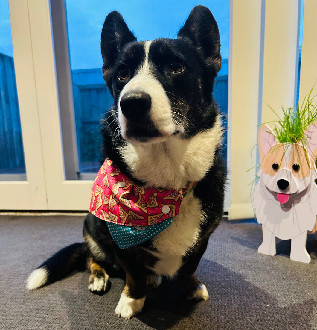 Fairy Bread Dog Bandana