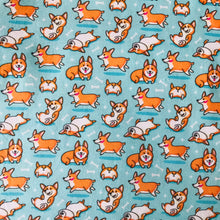 Load image into Gallery viewer, Kids fabric face mask
